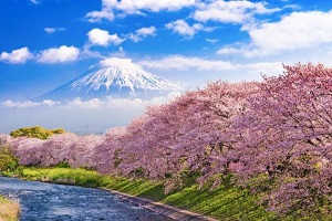 电子科技大学日本留学班怎么样？