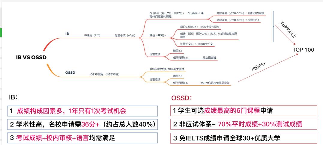 OSSDγIBγ