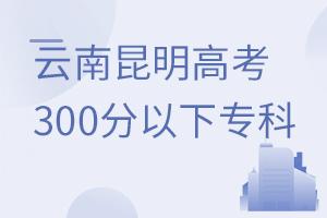 ���������߿�300�����µ�ר��ѧУ����Щ��