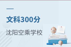 文科300分可報(bào)的沈陽空乘專業(yè)學(xué)校有哪些?