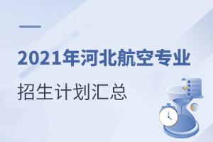 2021��ӱ�����רҵ�����ƻ�����