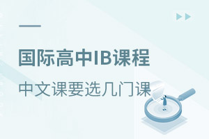 ���ʸ���IB�γ����Ŀ�Ҫѡ���ſΣ�