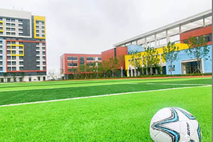 �������˫��ѧУ����У����Ӳ����ʩ��ô����