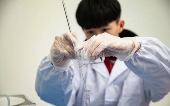 力迈中美国际学校九华校区