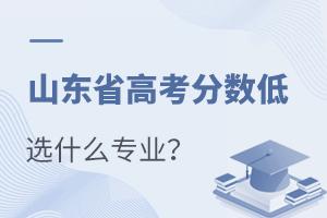 山东省高考分数低选什么专业?