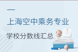 上海空中乘務(wù)專業(yè)學校分數(shù)線匯總
