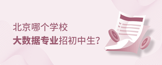 北京哪个学校大数据专业招初中生