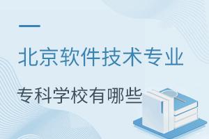 北京软件技术专业专科学校有哪些?