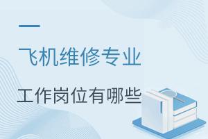 �ɻ�ά��רҵ������λ����Щ?