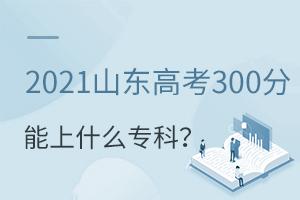 2021ɽ߿300ʲôרƣ