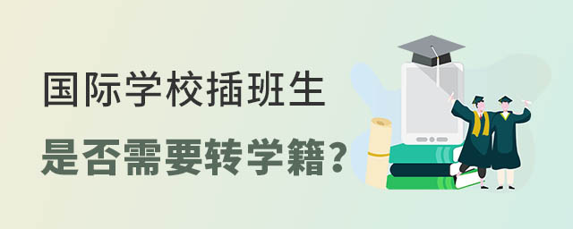 国际学校插班生