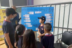 Ϲ˫ѧУСѧʲô̲ģ