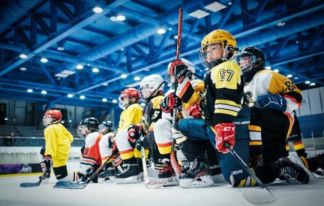 北京市朝阳区凯文学校