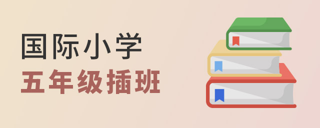 国际小学插班