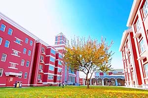 �������Ϲ���ѧУϲ�� | AP�ݱ�������������У������׼�����ˣ�