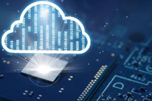 石家庄经济职业学院有软件与信息服务专业吗？