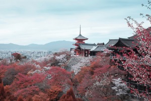 北京外国语大学日本留学预科班对接院校有哪些？