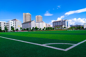 2022�걱����ʵ��ѧУСѧ���ò��ã�