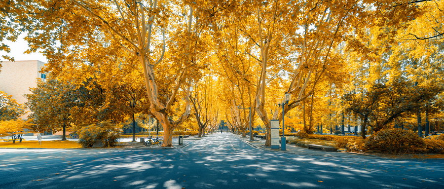 �Ϻ�2022��߿����ϲ�����ʱ�乫��