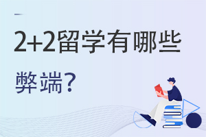 2+2������ѧ��ʲô�׶ˣ�