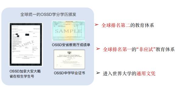 ʸ1.jpg