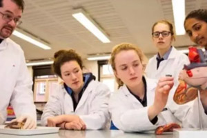 �������ѧУ