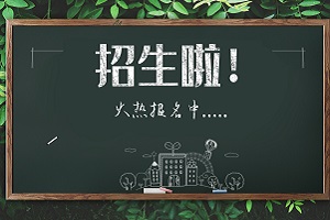 青岛大学出国留学报名流程