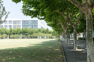 北京东方红学校入学考试