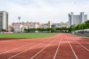 2025年四川外国语大学成都学院有单招吗？