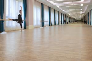 四川文化艺术学院舞蹈表演专业介绍