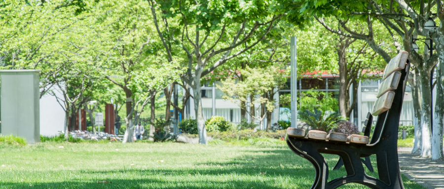 2022年河北好的单招学校有哪些?