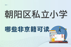 �������������շǾ�����˽��Сѧ����Щ��