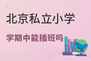 ����˽��Сѧѧ���п��Բ����