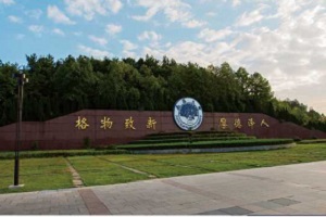 南昌大学2+2留学热门专业有哪些？