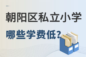 ����������ѧ�ѵ͵�˽��Сѧ����Щ��