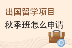 ѧĿ＾룿