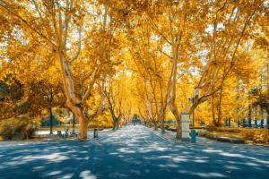 怎么报名长春理工大学光电信息学院？