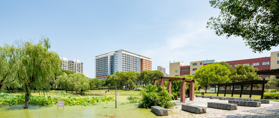 信阳哪个学校有数字媒体艺术设计专业招生