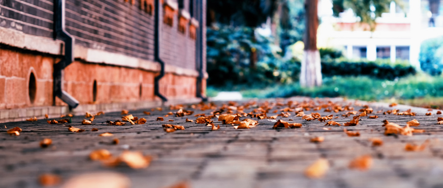 �Ĵ����θ߿�200����ʲôѧУ��