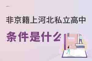 ǾϺӱ˽еʲô