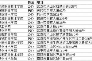 湖北空中乘務專業(yè)專科學校有哪些?
