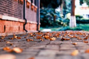 广东外语外贸大学公开学院大数据技术与应用专业学几年？