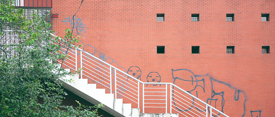 高考落榜生学校都没录怎么选择学校?