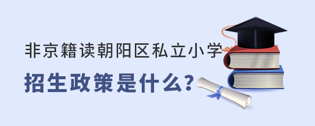 ǾͶ˽Сѧʲô