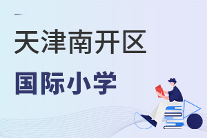 天津南开区国际小学