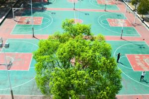西安文理学院继续教育学院艺术专业怎么样？
