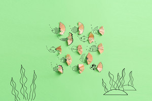 北京同等学力申硕考试报名流程有哪些