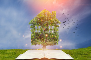 ��������������ְ�о�������Щ���Կ�Ŀ