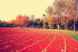 北京市中关村外国语学校国际高中课外活动