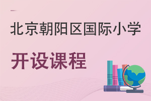 北京朝阳区国际小学开设课程